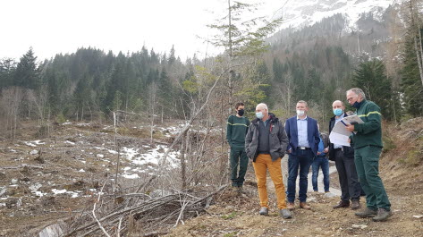 87 hectares of trees to be planted following the storm